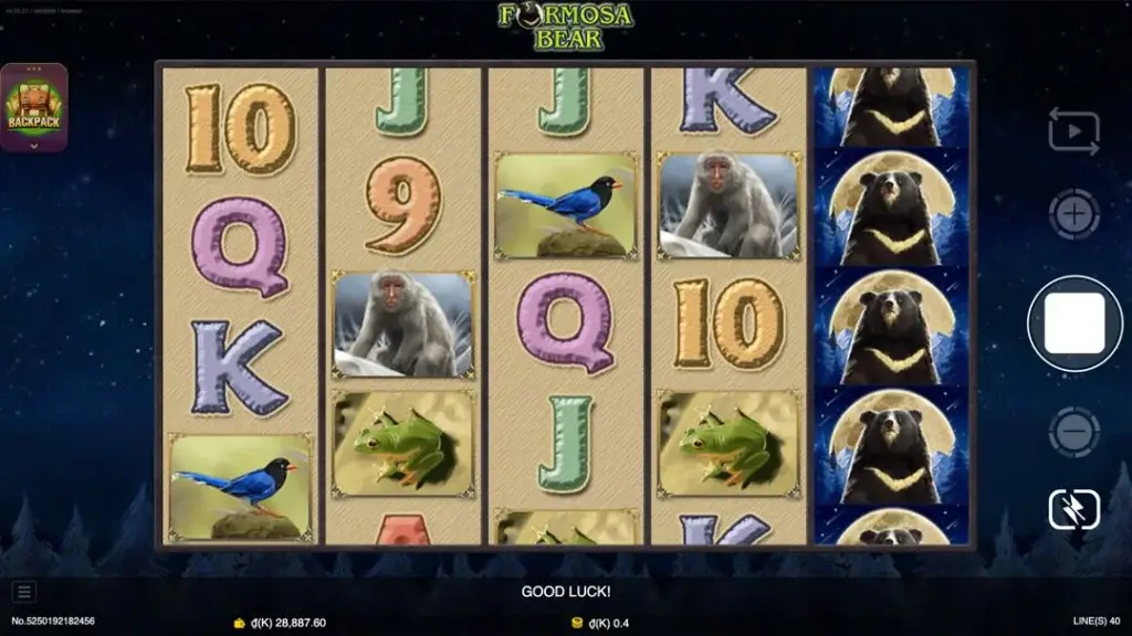 Ảnh giao diện chính game Formosa Bear (slot JDB) chơi tại LC79